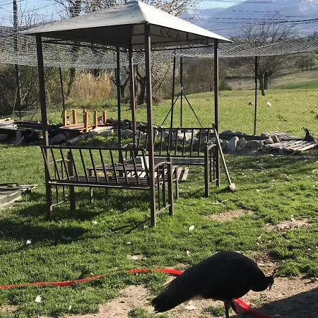 Orlandi Sun Casa Superficie 50 Mq *