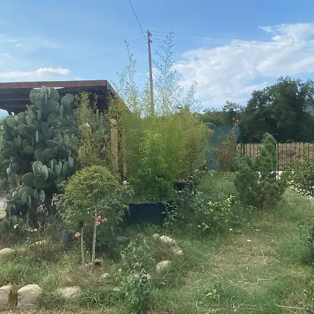 Orlandi Sun Casa Superficie 50 Mq Apartamento *