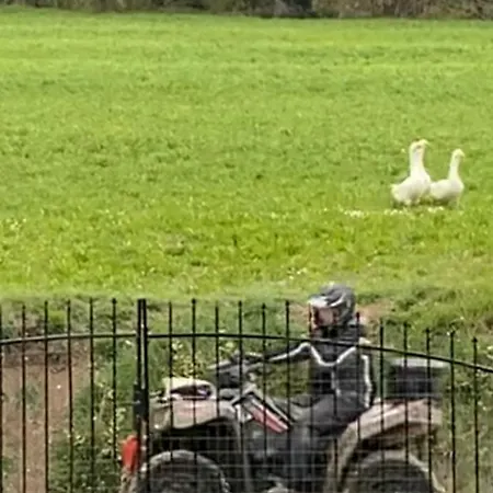 Apartman Orlandi Sun Casa Superficie 50 Mq Sarnano